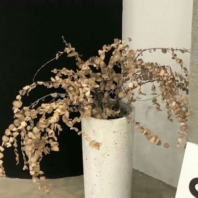 Furry兽圈创作趋势兽圈社群